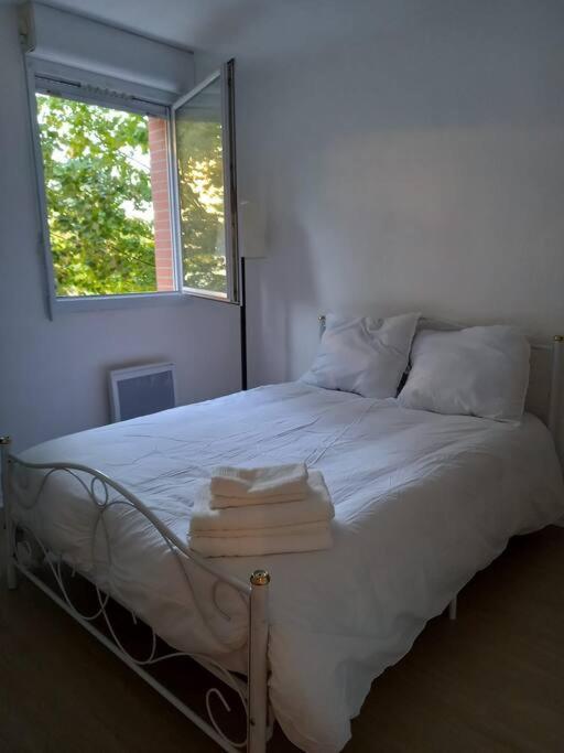 Appartement Cosy Cugnaux Ngoại thất bức ảnh